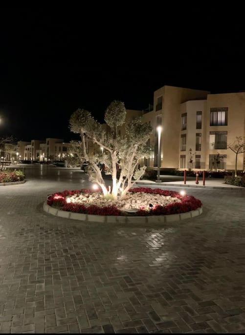 Mangroovy - 1Br Lovely Loggia Wz Marina View Apartment Hurghada Exterior photo